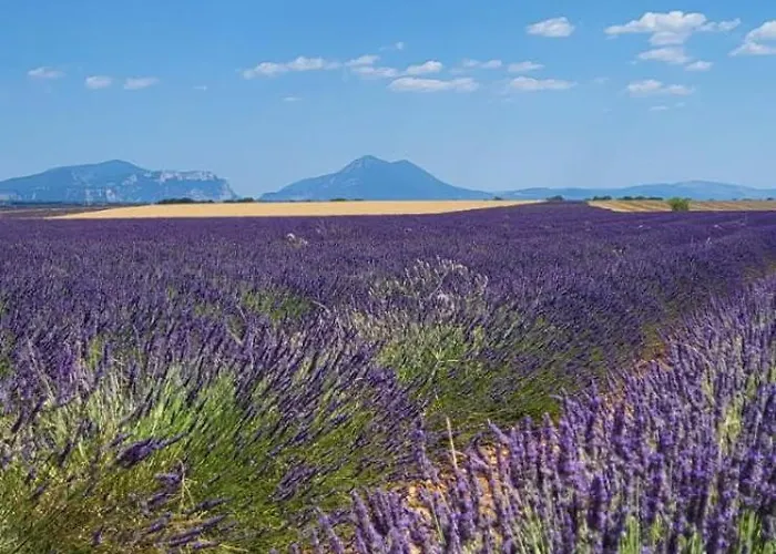 D'hotes Sandra Annot