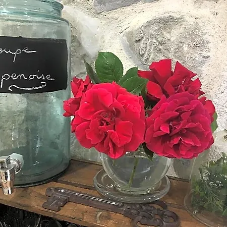 D'hotes Sandra Bed & Breakfast Annot