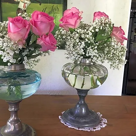 D'hotes Sandra Bed & Breakfast Annot