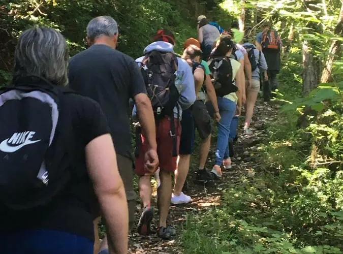 D'hotes Sandra Bed & Breakfast Annot